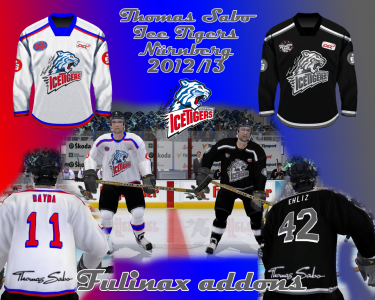 ts-ice-tigers-nurnberg-2013.png